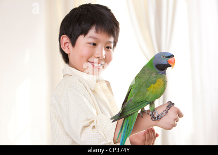 Kleiner Junge spielt mit einem Papagei Stockfoto