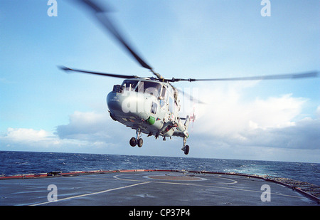 Ein Royal Navy Lynx HAS.3S erholt sich auf dem Flugdeck der HMS Liverpool (D-92) aus dem Norden von Schottland. Stockfoto