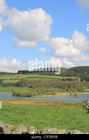 Blick auf Loch Ken von Ken-Dee Marschen RSPB Reserve, Dumfries & Galloway, Schottland, Großbritannien Stockfoto