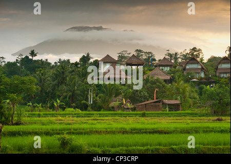 Einen schönen Sonnenaufgang über den Reisfeldern in Sidemen Tal von Bali, Indonesien. Mt. Agung können im Hintergrund zu sehen. Stockfoto