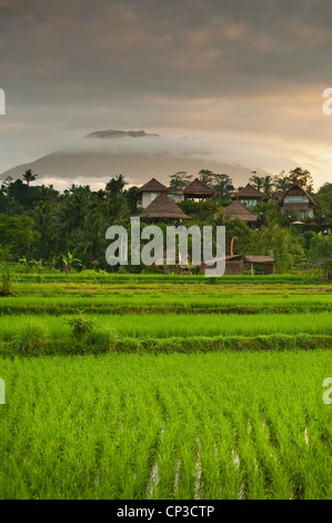 Einen schönen Sonnenaufgang über den Reisfeldern in Sidemen Tal von Bali, Indonesien. Mt. Agung können im Hintergrund zu sehen. Stockfoto