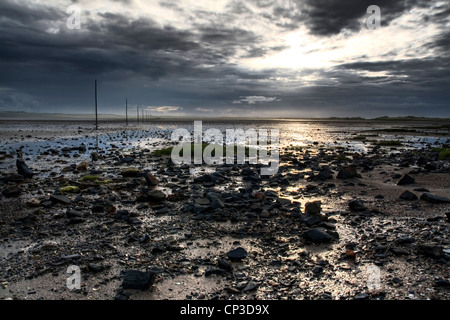 Lindesfarne Damm, Ebbe Stockfoto