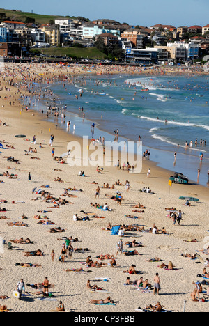 Blick auf Bondi Beach Sydneys führenden Surf- und Freizeit Strand an einem anstrengenden Sommertag. Sydney, Australien Stockfoto