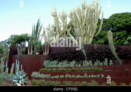 Kakteen und Sukkulenten Garten im Botanischen Garten Sydney Australia Stockfoto