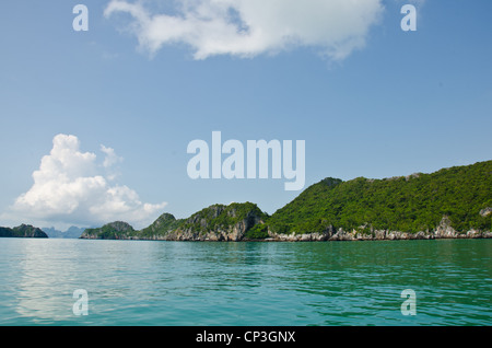 Leuchtend grüne Insel mitten im Meer in Thailand Stockfoto
