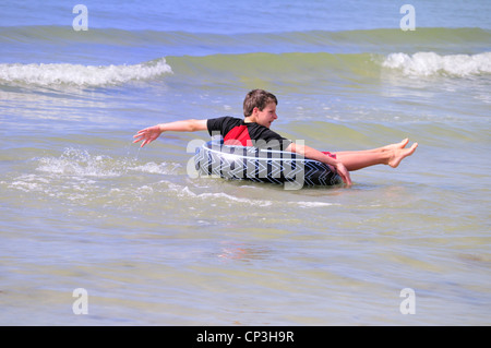 Junge Spinnen in ein Innenrohr in Fort Myers Beach Stockfoto