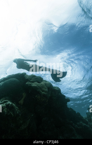 Silhouette einer Meerjungfrau Schwimmen an der Wasseroberfläche in Miil Kanal, Föderierte Staaten von Mikronesien. Stockfoto