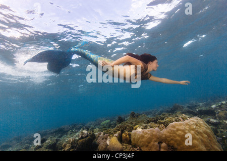 Junge Meerjungfrau Schwimmen über das Korallenriff in Miil Kanal, Föderierte Staaten von Mikronesien. Stockfoto