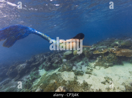 Meerjungfrau Schwimmen auf das Riff im Miil Kanal, Föderierte Staaten von Mikronesien. Stockfoto