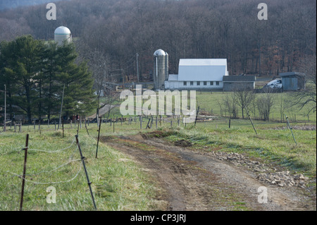 Lange unbefestigte Straße führt hinauf zum Bauernhof. Stockfoto