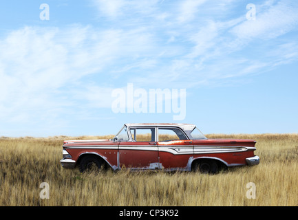 Edsel Automobile im Feld aufgegeben Stockfoto