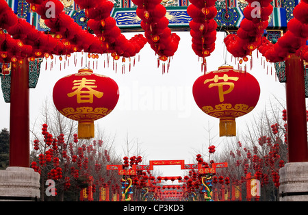 Große Feder Festival roten Laternen chinesischen Lunar neue Jahr Dekorationen Tor Ditan Park, Peking, China Stockfoto