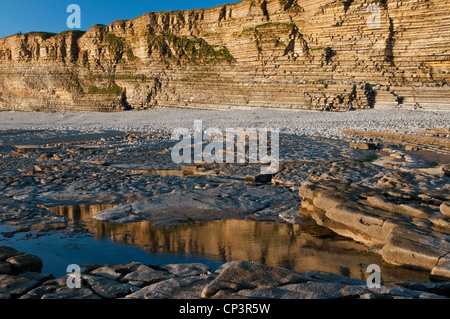 Die Kalksteine Klippen von Glamorgan Heritage Coast in Südwales Nash Zeitpunkt, Stockfoto