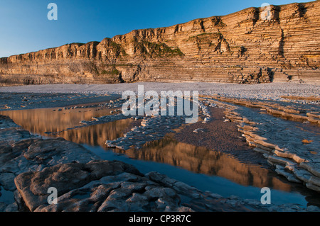 Die Kalksteine Klippen von Glamorgan Heritage Coast in Südwales Nash Zeitpunkt, Stockfoto