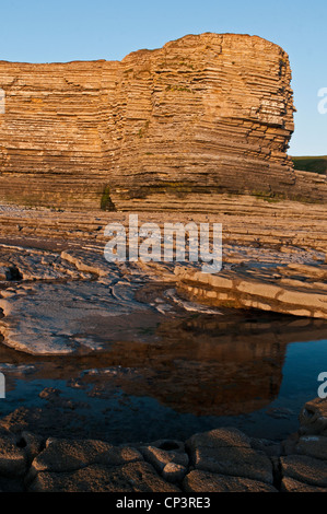 Die Kalksteine Klippen von Glamorgan Heritage Coast in Südwales Nash Zeitpunkt, Stockfoto