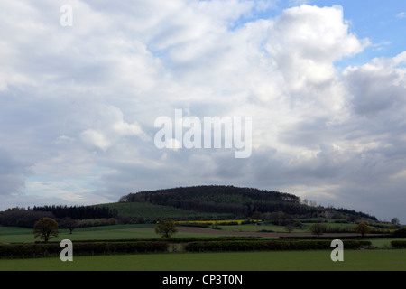 Eine der (16), um Bilder zu Lodge Hügel in Frodesley, Shropshire innerhalb dieses (Set) schießen. Stockfoto