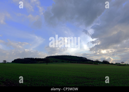 Eine der (16), um Bilder zu Lodge Hügel in Frodesley, Shropshire innerhalb dieses (Set) schießen. Stockfoto