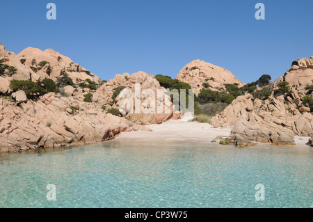 Ein schöner Ausblick auf den berühmten Strand von Cala Coticcio e Tahiti Beach in Insel Caprera, Sardinien, Italien Stockfoto