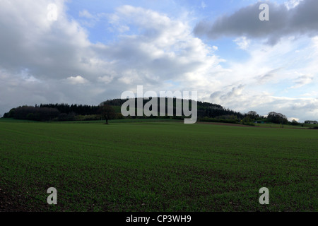 Eine der (16), um Bilder zu Lodge Hügel in Frodesley, Shropshire innerhalb dieses (Set) schießen. Stockfoto