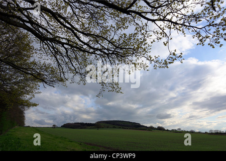 Eine der (16), um Bilder zu Lodge Hügel in Frodesley, Shropshire innerhalb dieses (Set) schießen. Stockfoto