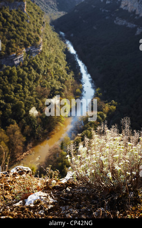 Ebro-River-Canyon. Pesquera de Ebro. Burgos. Spanien Stockfoto