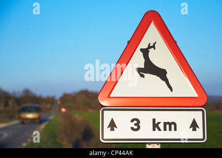 Verkehrsschild kündigt Hirsch Präsenz. Burgos. Spanien Stockfoto