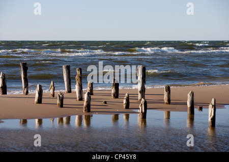 Lettland Kurzeme Region (Courland) Talsi Bezirk Nationalpark Schlitz Sikrags. Strand an der Ostsee-Küste in der Nähe von Kap Kolka Stockfoto