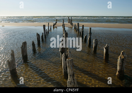 Lettland Kurzeme Region (Courland) Talsi Bezirk Nationalpark Schlitz Sikrags. Strand an der Ostsee-Küste in der Nähe von Kap Kolka Stockfoto