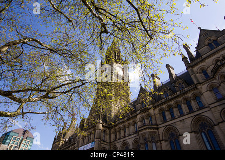 Albert square Rathaus Manchester Stadt england Stockfoto