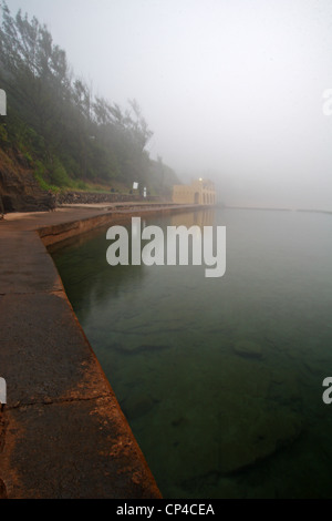 Charlies Pool an einem nebligen Morgen. Thompsons Bay, Kwazulu Natal, Südafrika Stockfoto