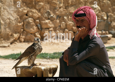 Syrien QASR IBN Wardan Jäger mit seinem FALCONE Stockfoto