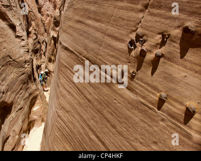 Wanderer in einem Slotcanyon im Grand Staircase-Escalante National Monument, Utah. Die eingebetteten runden Felsen nennt man Moqui Kugeln. Stockfoto