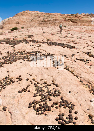 Moqui-Kugeln im Grand Staircase-Escalante National Monument, Utah Stockfoto