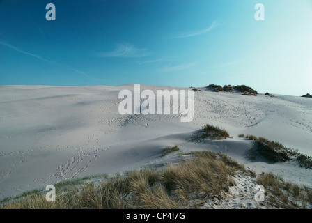 Dänemark - Nordjütland (Nordjylland) - R? Bjerg Meile Dünen. Stockfoto