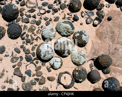 Moqui-Kugeln im Grand Staircase-Escalante National Monument, Utah Stockfoto