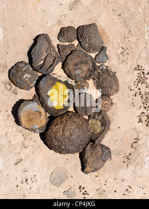 Moqui-Kugeln im Grand Staircase-Escalante National Monument, Utah Stockfoto