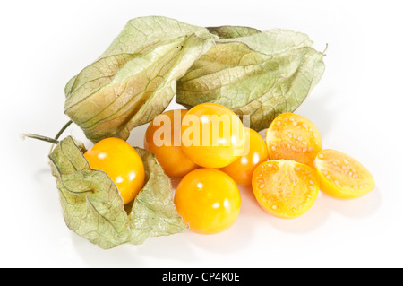 Physalis mit geschnittenen Früchten vor Stockfoto