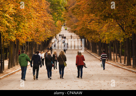 Spanien, Madrid, Parque del Buen Retiro Park, Herbstlaub. Stockfoto