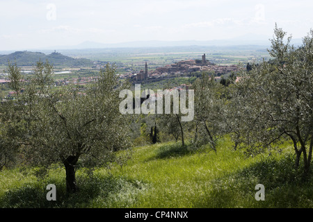 Castiglion Fiorentino, Region Provinz Florenz, Toskana, Italien. Stockfoto