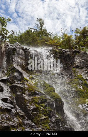 Fairy Falls Wasserfall inmitten von Bäumen und bewölktem Himmel in Henderson Valley, Auckland, Neuseeland Stockfoto