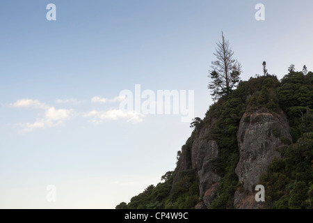 Silhouette eines Hügels und toter Baum vor einem Himmel mit Wolkenfetzen, Far North District, Northland, Neuseeland Stockfoto