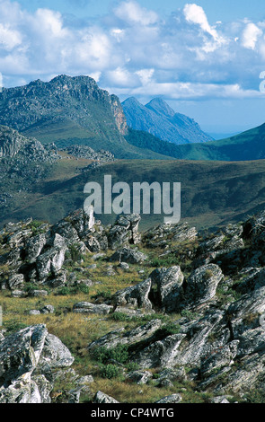 Simbabwe - Chimanimani-Nationalpark. Stockfoto