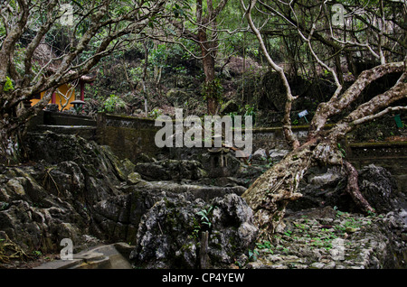 Parfüm Pagode in den Bergen in der Nähe von Ben Duc Vietnam. Urwaldbäume für Gebäude und Gänge Stockfoto