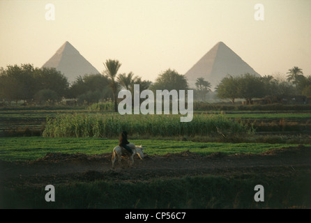 ÄGYPTEN, KAIRO. Eine Kampagne Ghiza nahe Pyramiden durch das Tal des Nils Stockfoto