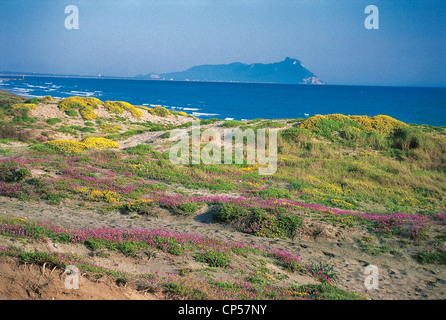 Lazio Rom Pncirceo Küsten Dune See Fogliano Frühjahrsblüte Stockfoto