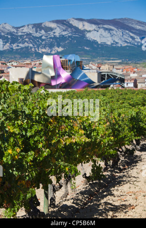 Spanien, La Rioja-Gebiet, Provinz Alava, Elciego, Blick auf die erhöhten Stadt und Hotel Marques de Riscal, entworfen von Architekt Frank Gehry Stockfoto