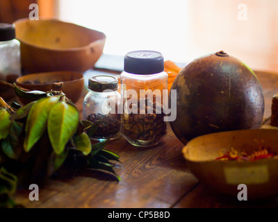 Kakaobohnen und Muskatnuss in Grenada Stockfoto