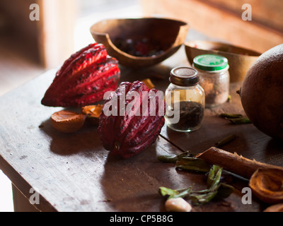 Kakaobohnen und Muskatnuss in Grenada Stockfoto