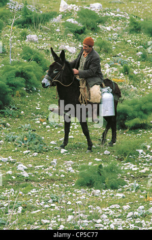 Sizilianischer Schäfer auf einem Esel im Land Palast Adriano Stockfoto