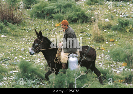 Sizilianischer Schäfer auf einem Esel Stockfoto